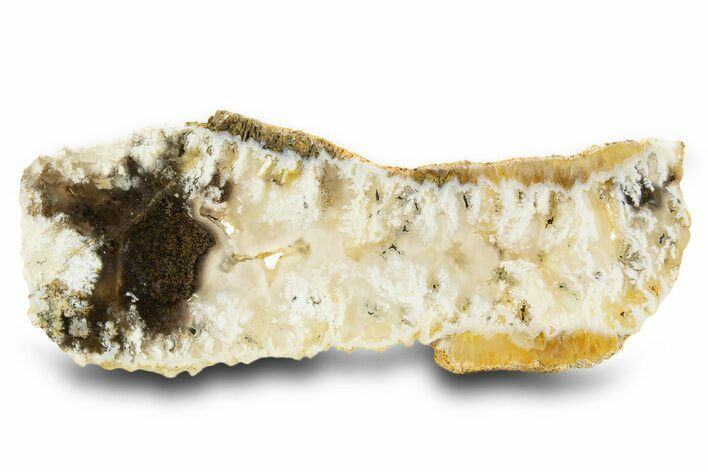 Polished Nydegger Plume Agate Slab - Oregon #334904